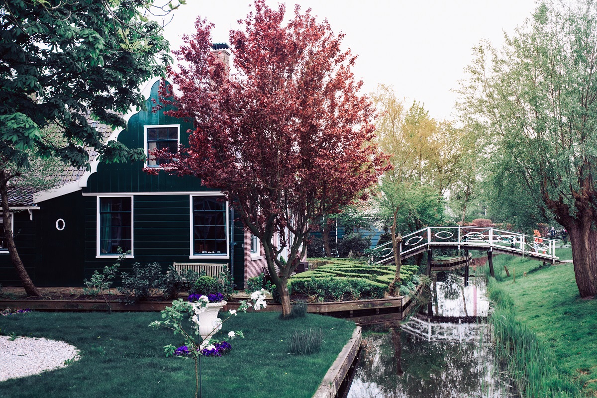 Ландшафтный дизайн 4